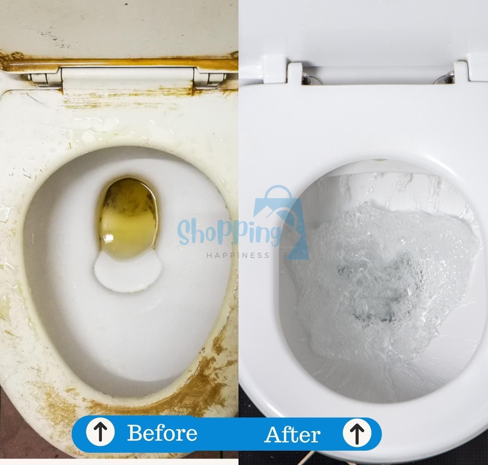 Foaming Toilet Cleaning Powder – Fresh Flush Power (Pack of 2 | 100gm Each)