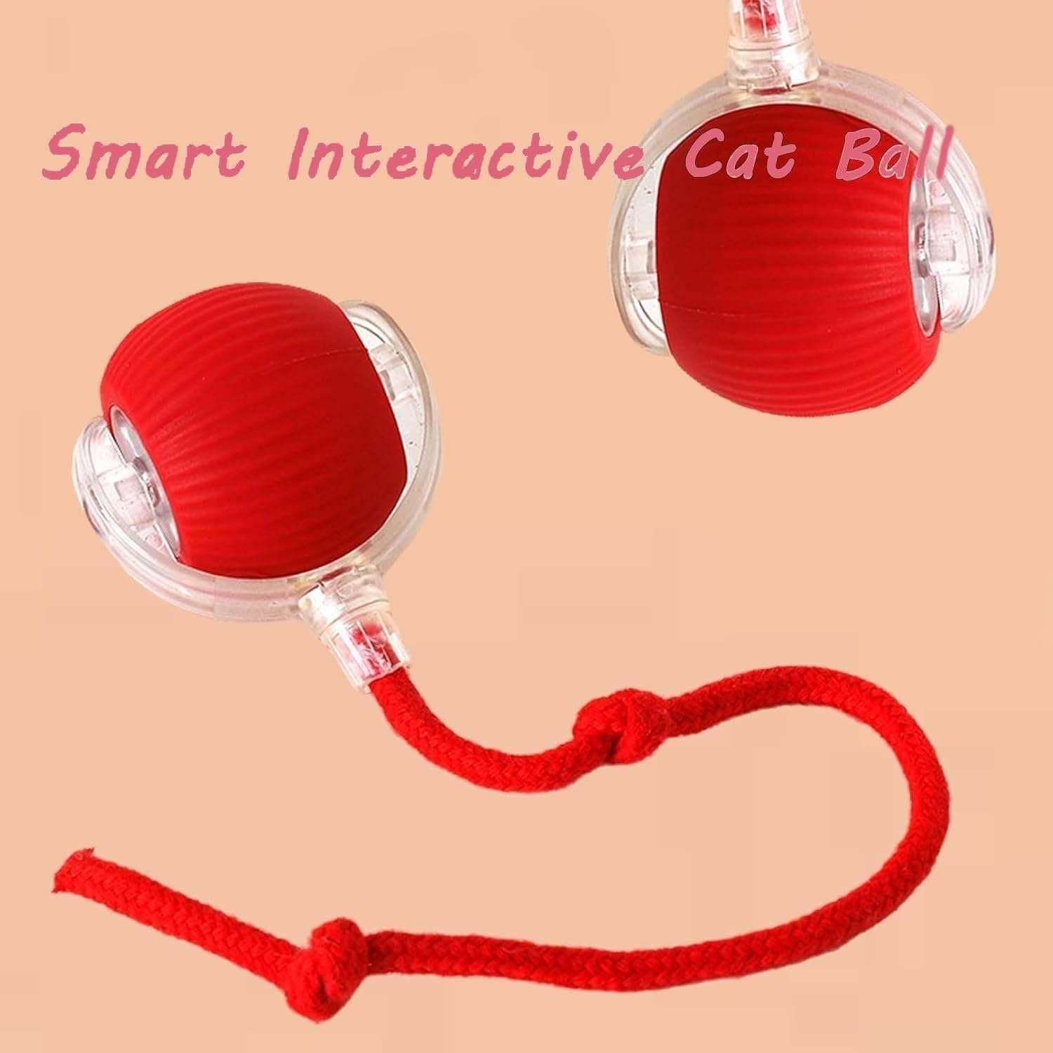 Viral Rolling Ball Cat Toy – Smart Tethered Play Ball for Cats