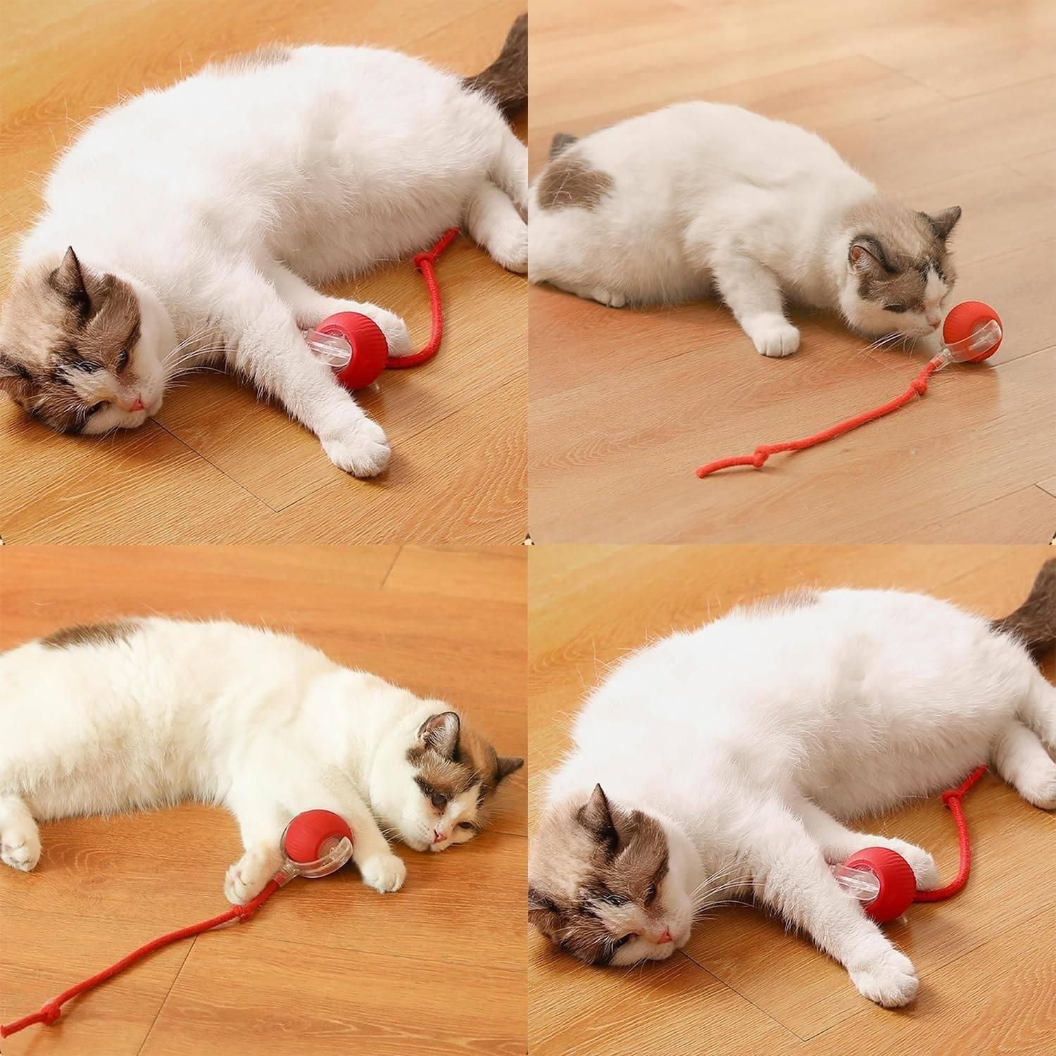 Viral Rolling Ball Cat Toy – Smart Tethered Play Ball for Cats