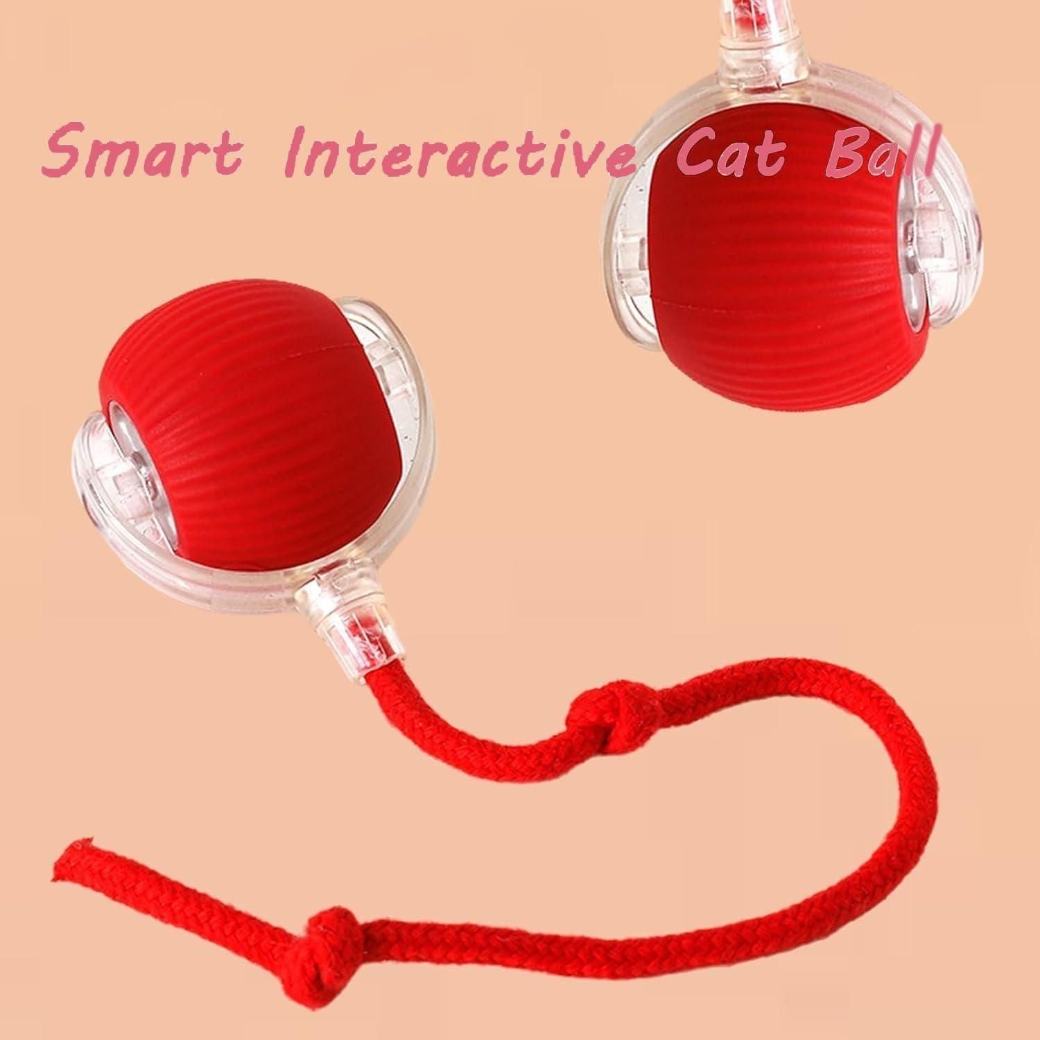 Viral Rolling Ball Cat Toy – Smart Tethered Play Ball for Cats