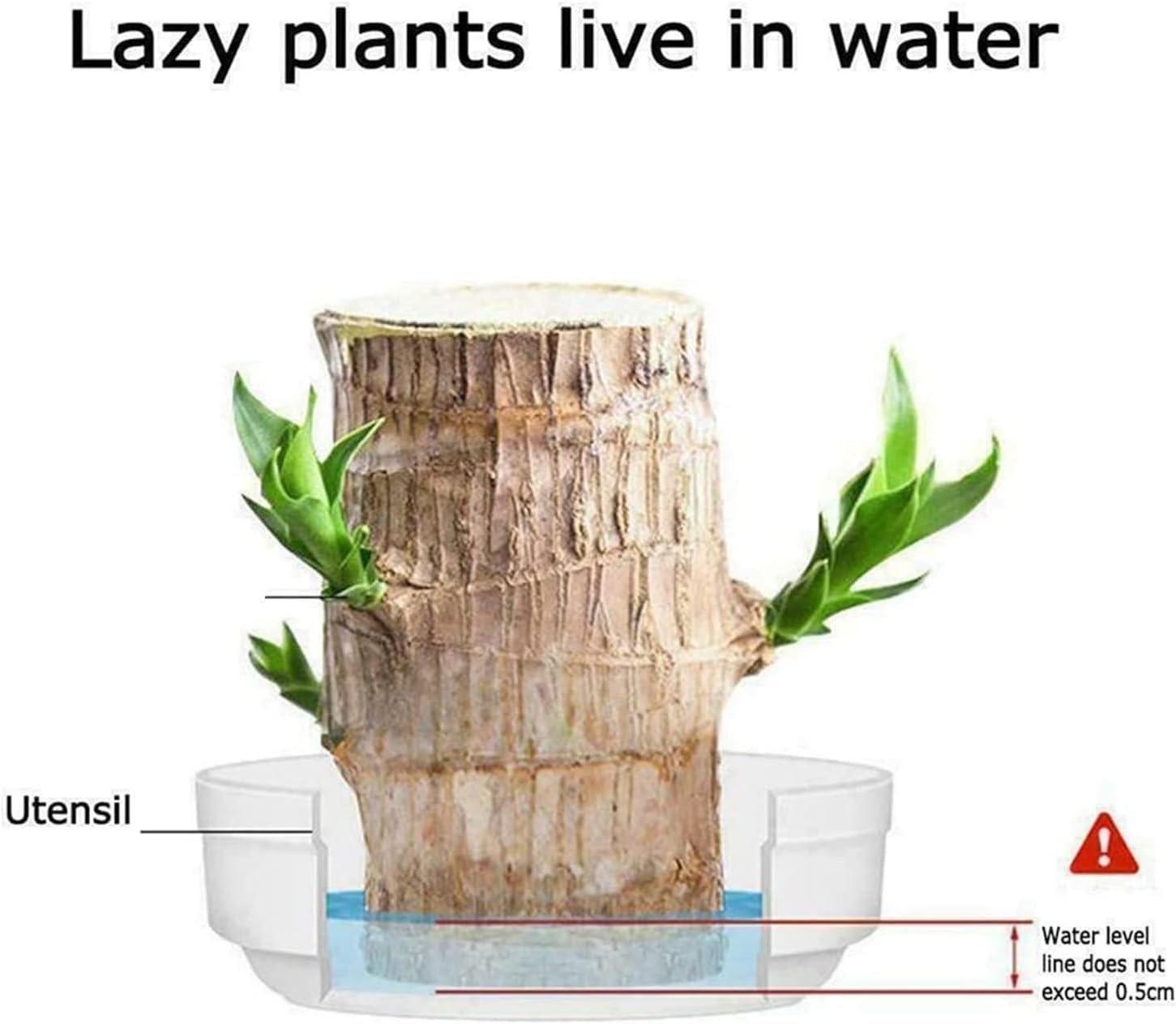 Illustration of a plant growing out of a wooden utensil with water level indicator.
