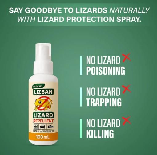 Lizard Repellent Herbal Spray 100ml (Pack of 2) – Instant Odor-Based Wall Protection