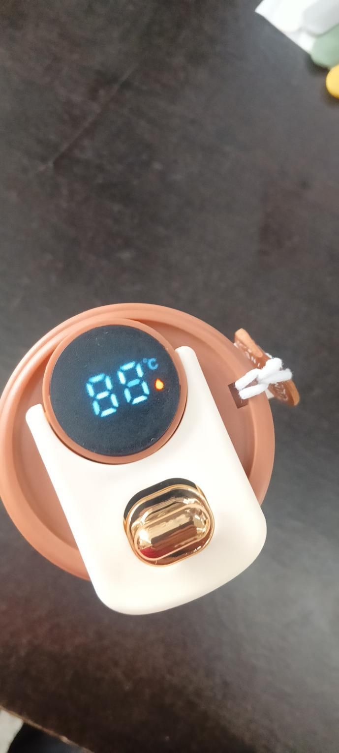 Stainless Steel Vacuum Insulated Coffee Mug - LED Temperature Display