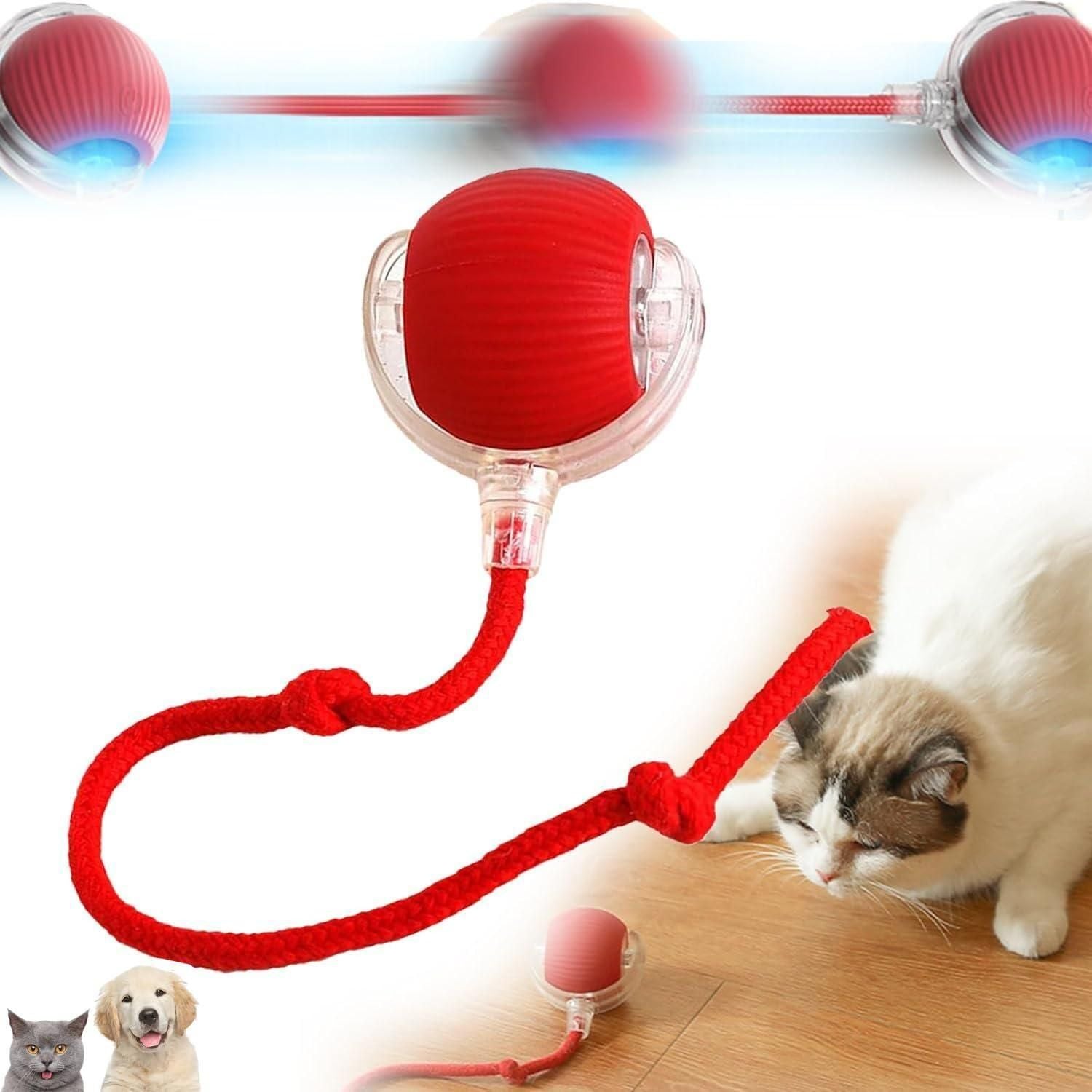 Viral Rolling Ball Cat Toy – Smart Tethered Play Ball for Cats