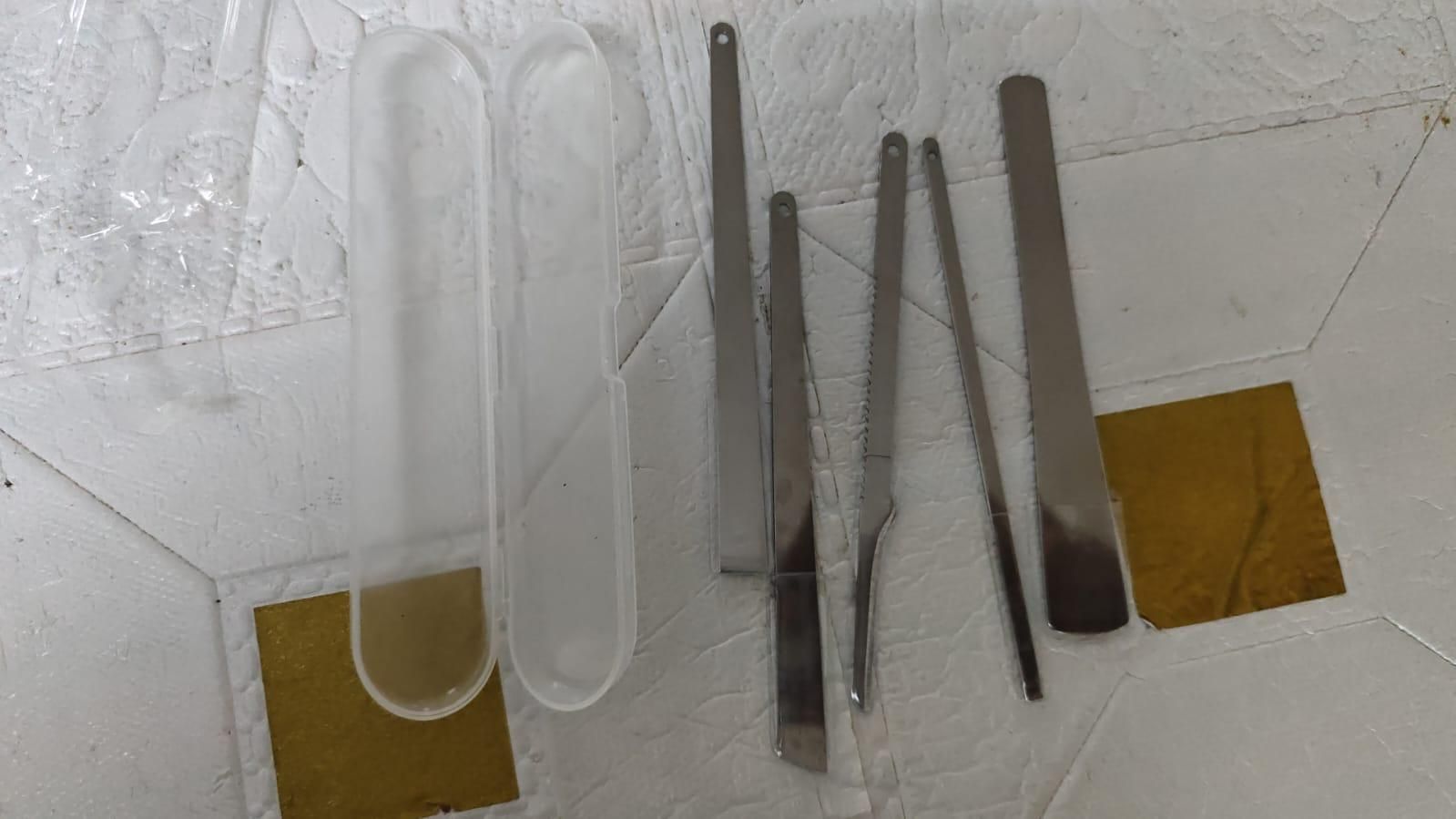 5-Piece Pedicure Knife Set - Stainless Steel with Storage Case